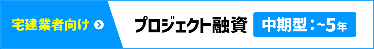 プロジェクト融資 中期型：～5年