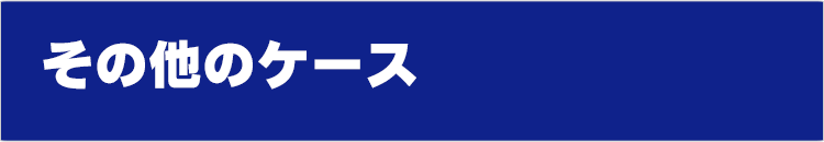 その他のケース